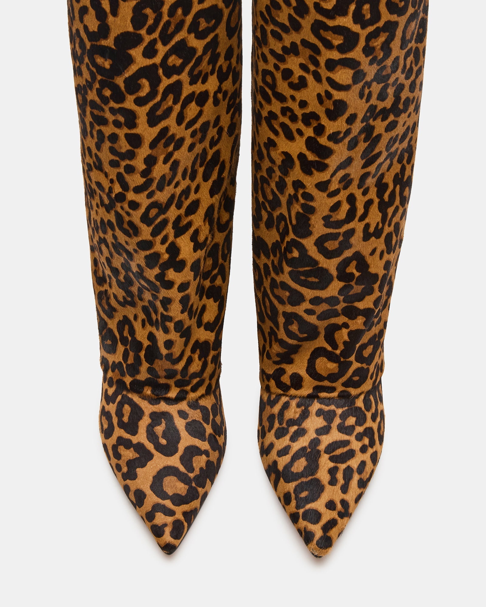 LUCA LEOPARD
