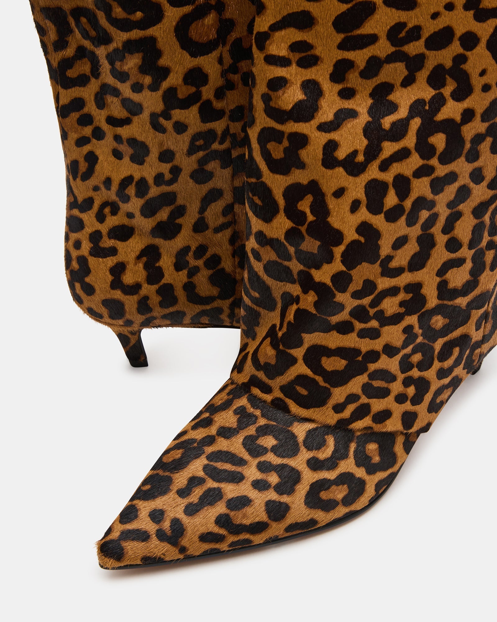 LUCA LEOPARD